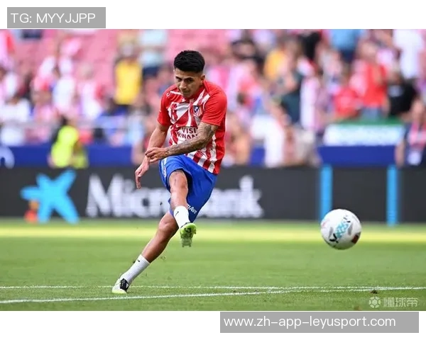 阿尔马达状态尚未恢复却入选阿根廷国家队马竞内部感到意外 阿尔马达状态尚未恢复却入选阿根廷国家队马竞内部感到意外